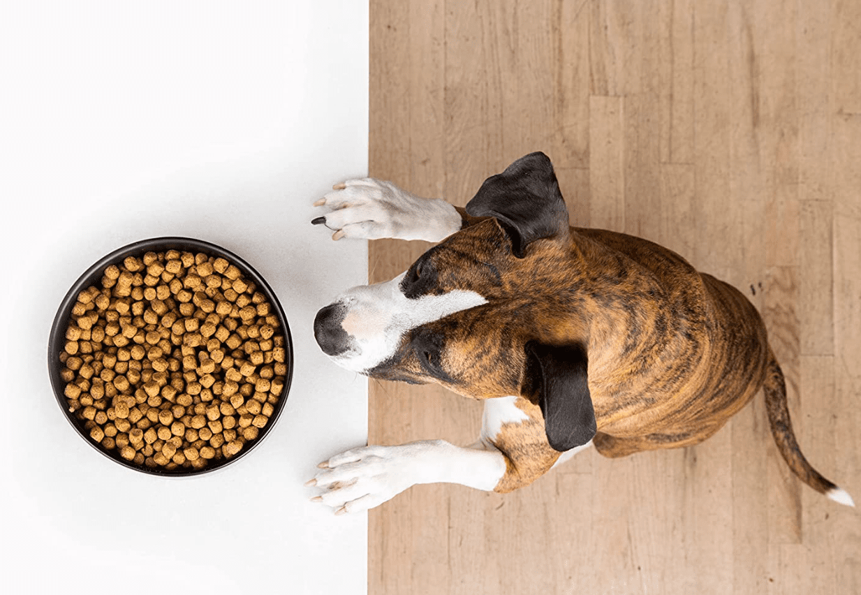 How Much Does Wild Earth Dog Food Cost