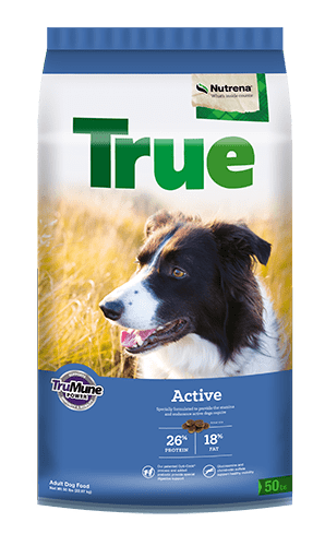 Nutrena True Active 26/18 Dog Food